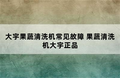 大宇果蔬清洗机常见故障 果蔬清洗机大宇正品